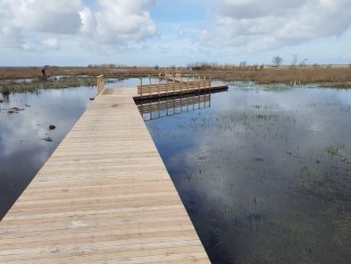 Golfe Bois Création